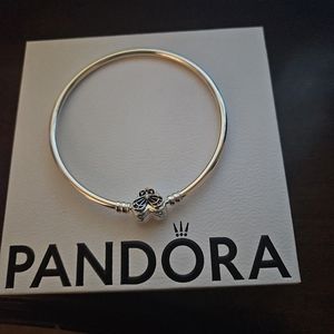 Silver Pandora Bracelet